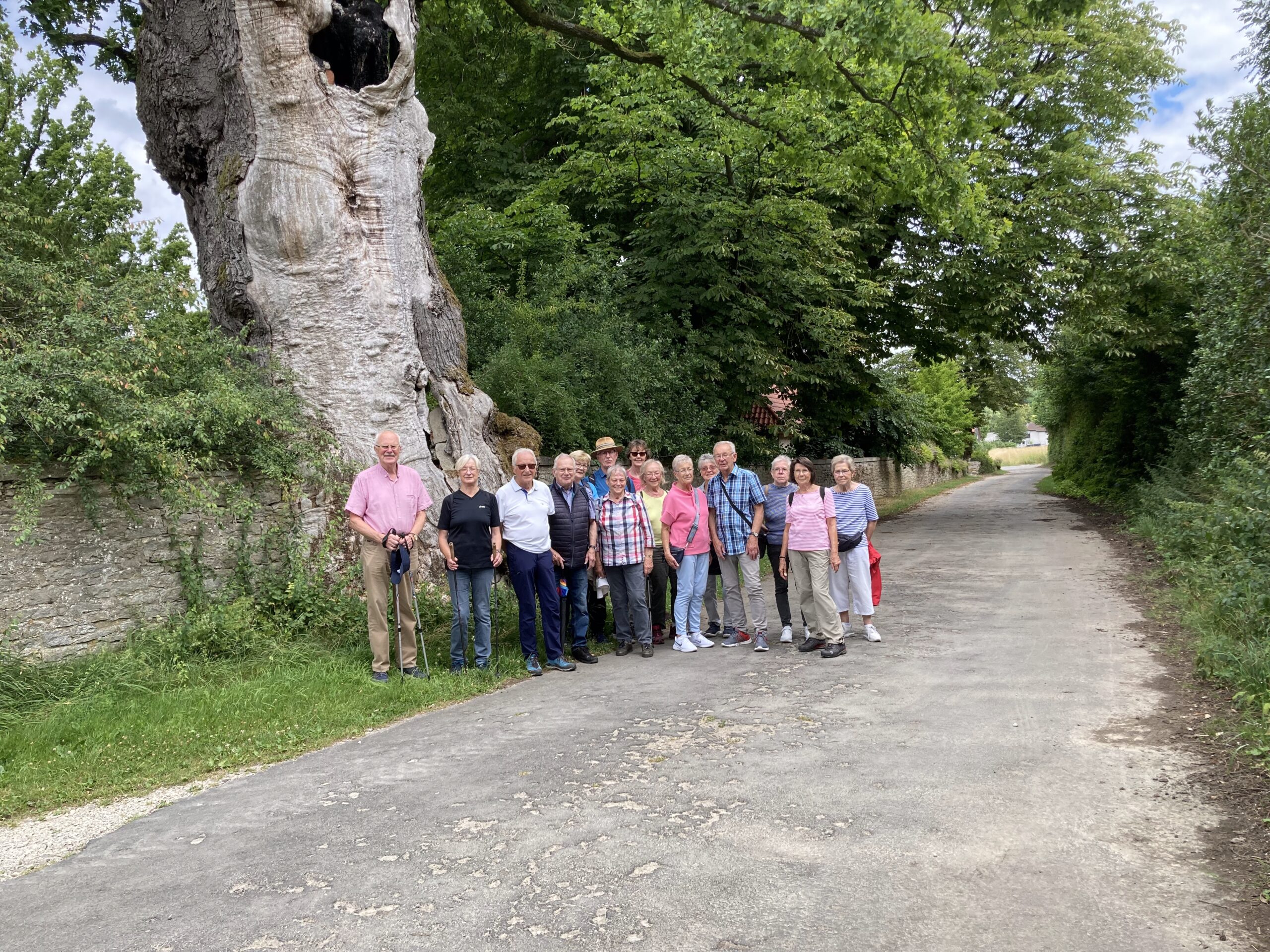 Wandern zur 1000jährigen Eiche