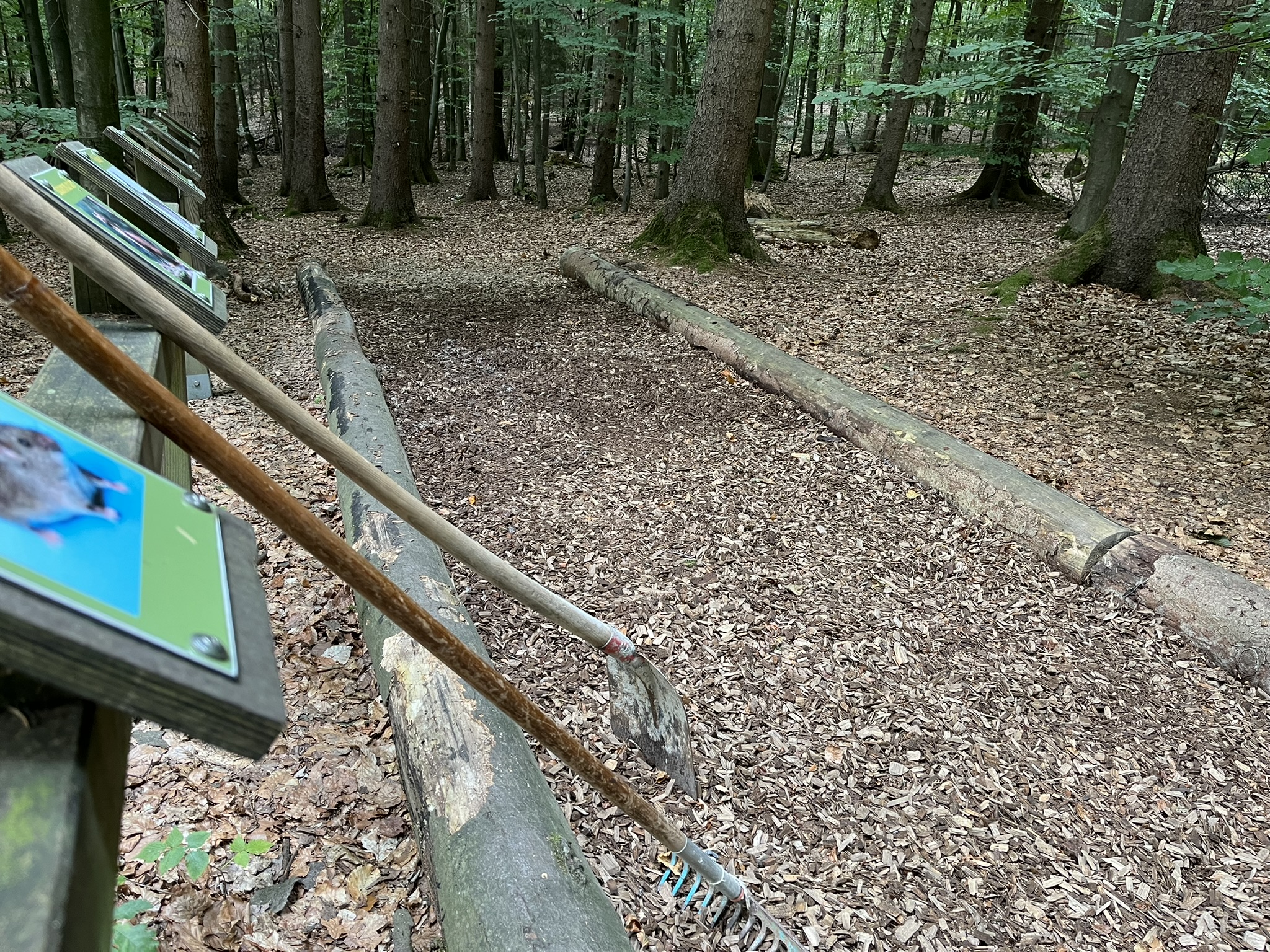 Kleine Sprünge, groooße Sprünge