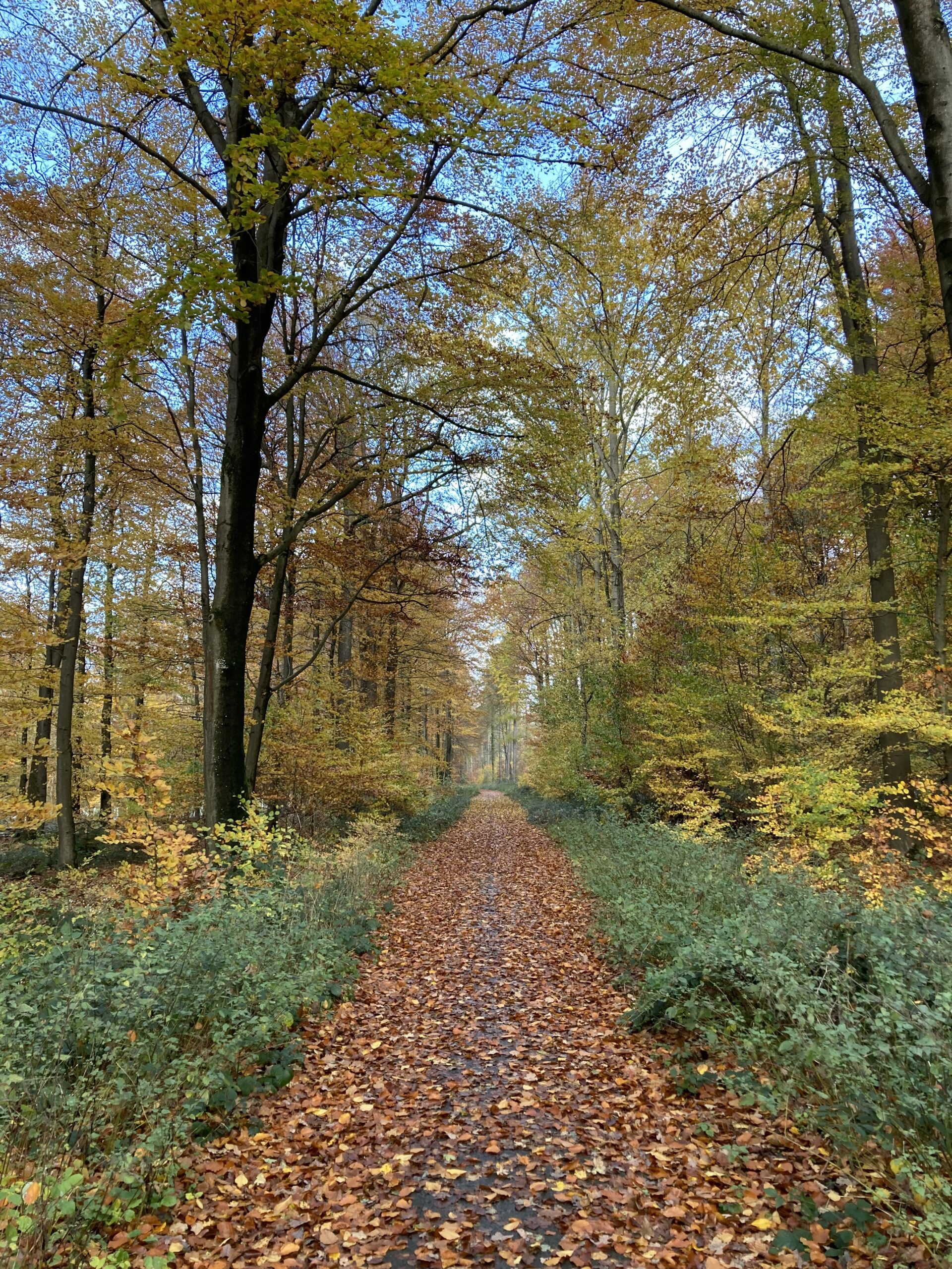 Sonntagswanderer unterwegs