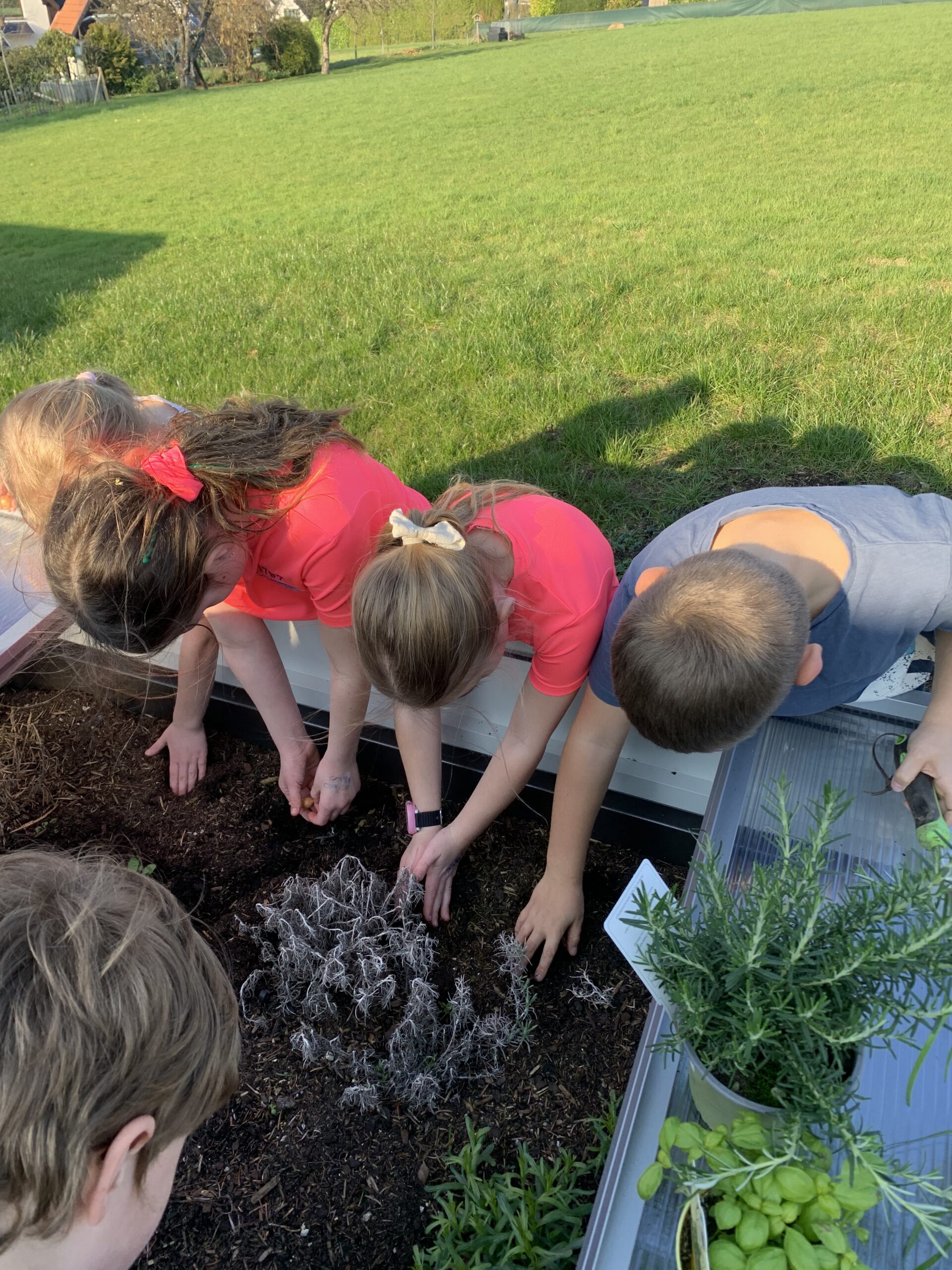 🌱 Neues Leben im Hochbeet – unsere Waldkinder legen los