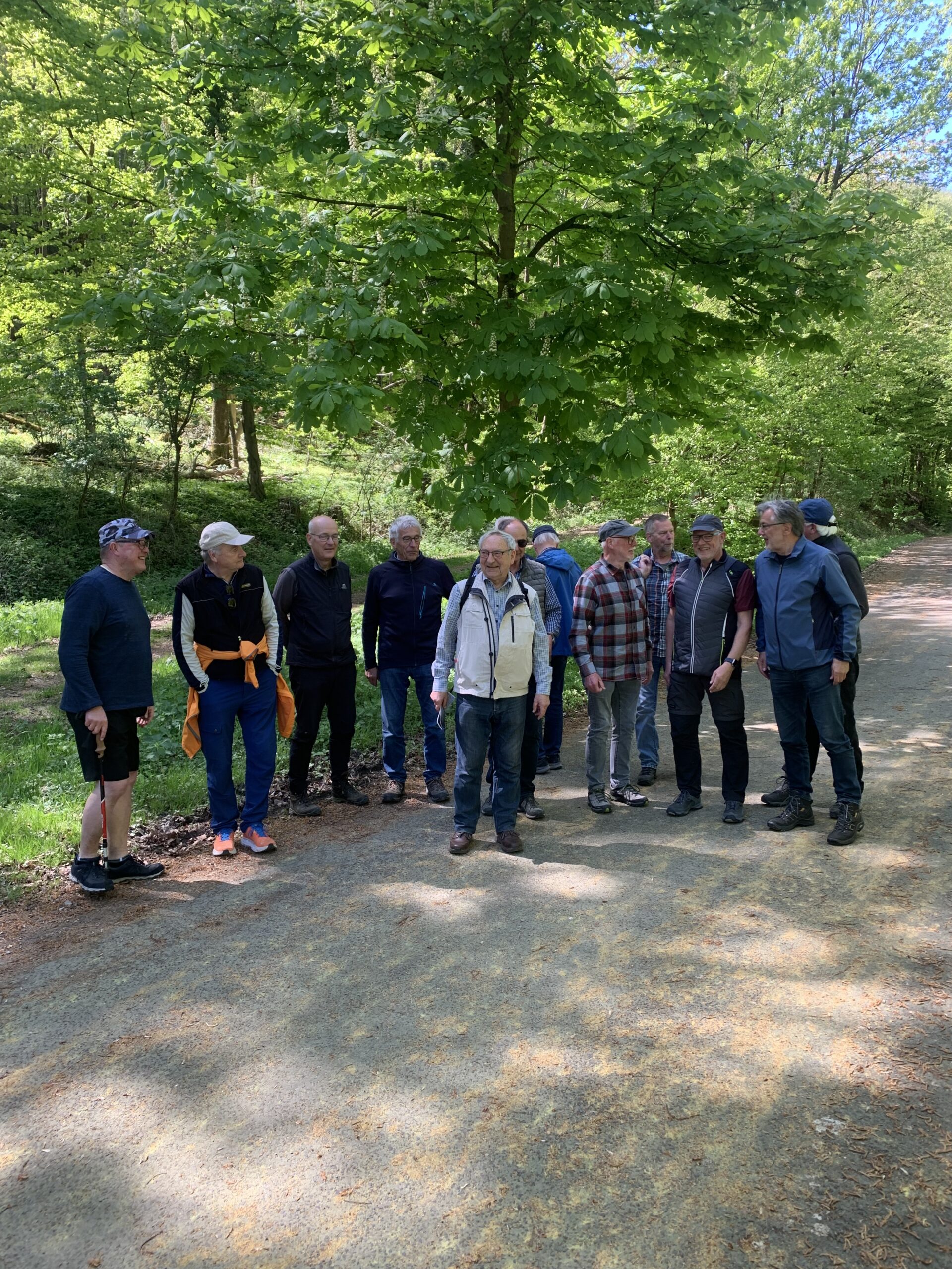 Donnerstagswanderung – Winterberg & Kemperberg
