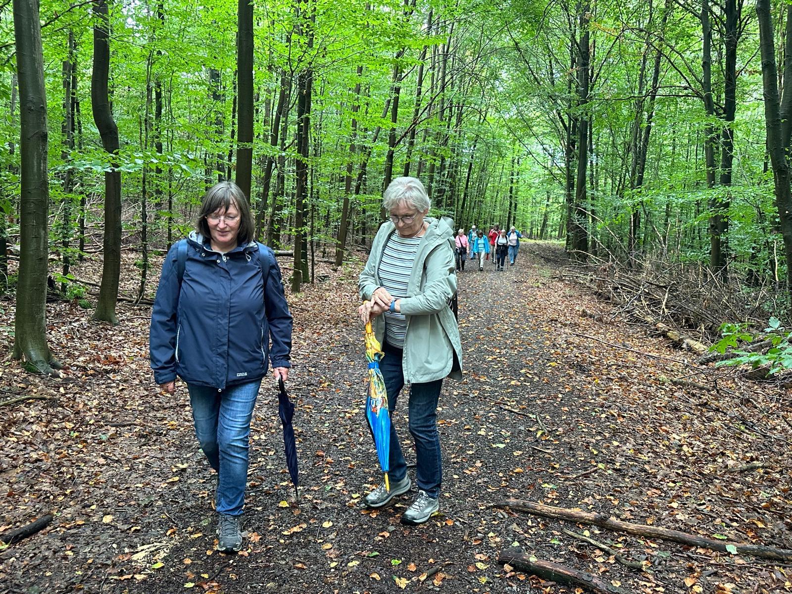 Wetter-Roulette im Leistruper Wald – die Frauenwandergruppe unterwegs